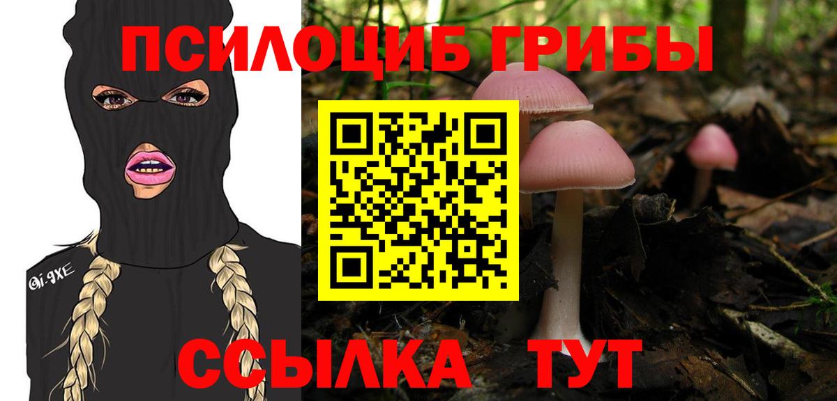 Псилоцибиновые грибы мицелий  Вход с VPN  Сыктывкар 