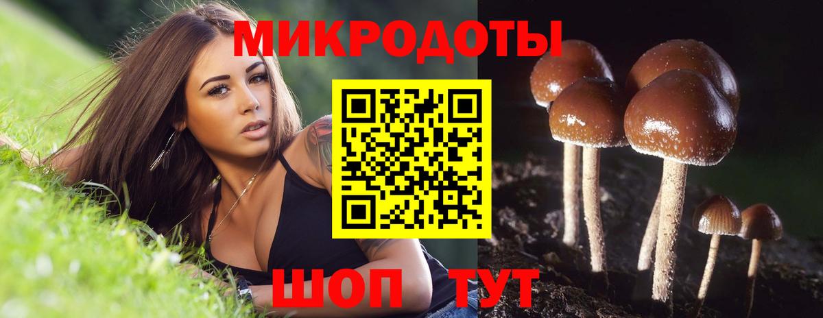 Галлюциногенные грибы ЛСД Сыктывкар